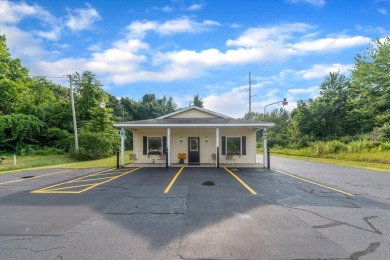 Pike Lake - Allegan County Commercial For Sale in Allegan Michigan
