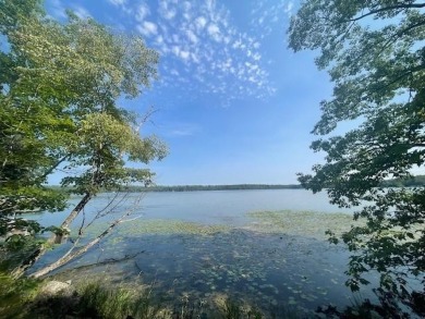 Crane Lake Lot Sale Pending in Pickerel Wisconsin