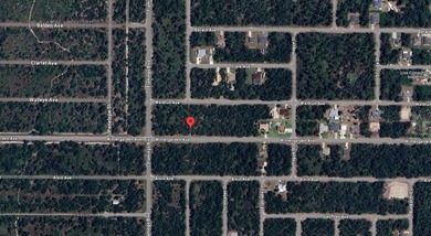 OVERSIZED lot located in Port Charlotte. NO HOA FEES! Perfect - photo 2