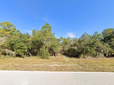 OVERSIZED lot located in Port Charlotte. NO HOA FEES! Perfect - photo 3