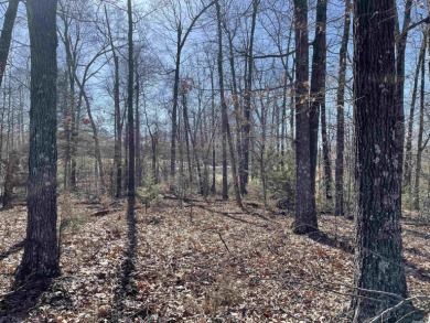 Driftwood Lake Lot For Sale in Mountain Home Arkansas