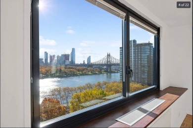 (private lake, pond, creek) Apartment For Sale in Roosevelt Island New York