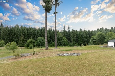 This home is set on 2 acres with sweeping mountain and - photo 47