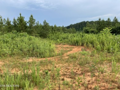 (private lake, pond, creek) Acreage For Sale in Vonore Tennessee