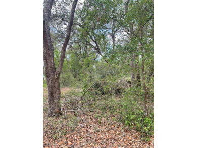 (private lake, pond, creek) Lot For Sale in Lady Lake Florida