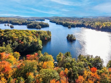 Lake Home For Sale in Vienna, Maine