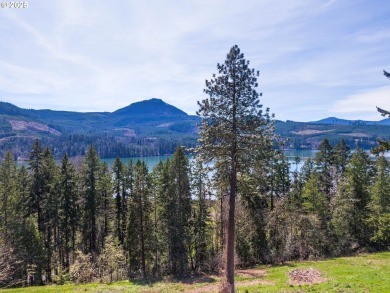 Lake Lot For Sale in Lowell, Oregon