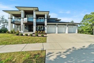 Sleek and sophisticated MODERN MASTERPIECE in one of Lemont's - photo 1