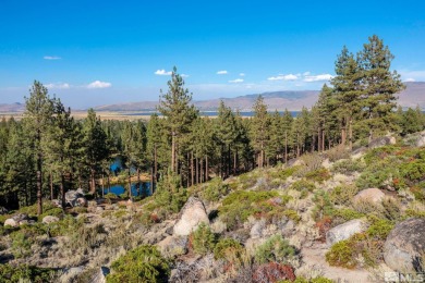 Lake Acreage For Sale in Washoe Valley, Nevada