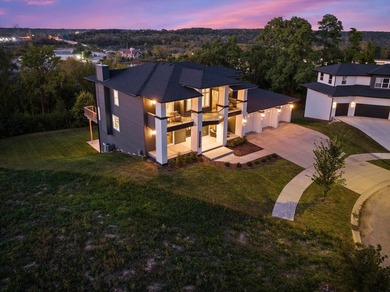 Sleek and sophisticated MODERN MASTERPIECE in one of Lemont's - photo 5