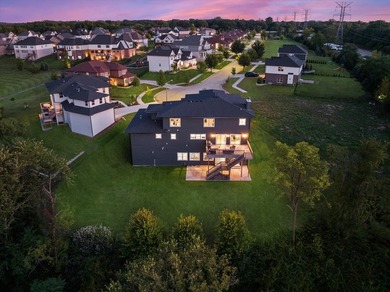 Sleek and sophisticated MODERN MASTERPIECE in one of Lemont's - photo 7