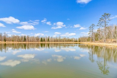 Rare opportunity to own a truly unique Northwoods retreat on - photo 39