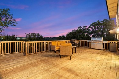 Sleek and sophisticated MODERN MASTERPIECE in one of Lemont's - photo 10