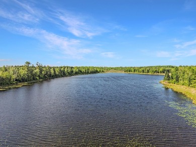 Rare opportunity to own a truly unique Northwoods retreat on - photo 43