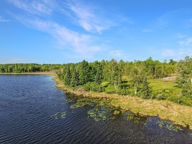 Rare opportunity to own a truly unique Northwoods retreat on - photo 44