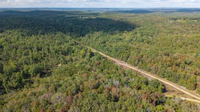 Lake Acreage For Sale in Cedarcreek, Missouri