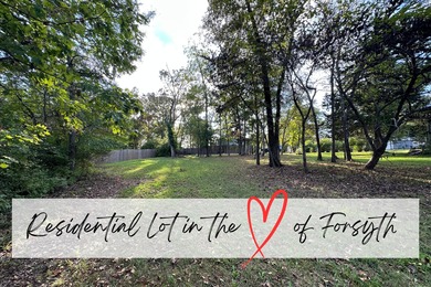 Lake Taneycomo Lot For Sale in Forsyth Missouri