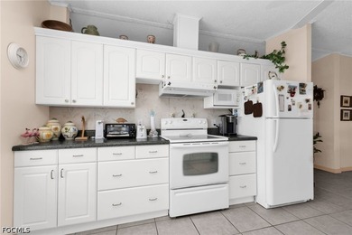 Welcome to your slice of paradise in Punta Gorda! This charming - photo 11
