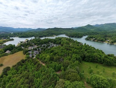 Exceptional development opportunity in the heart of Hiawassee - photo 11