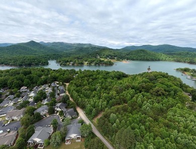 Exceptional development opportunity in the heart of Hiawassee - photo 12