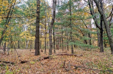 Fawn Lake - Anoka County Lot Active Under Contract in Linwood Twp Minnesota