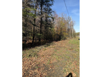 Lake Acreage For Sale in Altona, New York