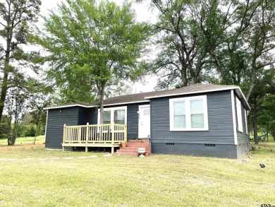 Ellison Creek Reservoir Home For Sale in Lone Star Texas