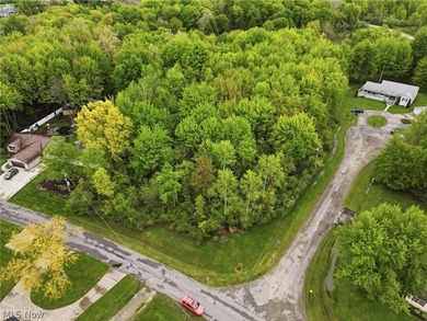 This cozy Lake front home with the warmth & charm of a private - photo 47