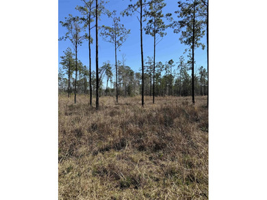 Lake Sam Rayburn  Lot Sale Pending in Brookeland Texas