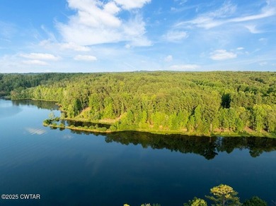 Prime lakefront water property with 1,000 +/- feet of shoreline - photo 8
