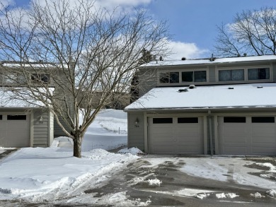 Lake Condo For Sale in Ann Arbor, Michigan