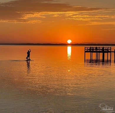 Waterfront Wonderland on Perdido Bay - with Dolphins, Fishing & - photo 46