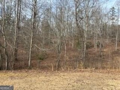 Dream Homesite in Lake Laceola 3.09 Acres Ready to build your - photo 8
