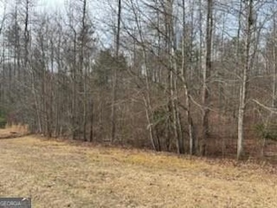 Dream Homesite in Lake Laceola 3.09 Acres Ready to build your - photo 9
