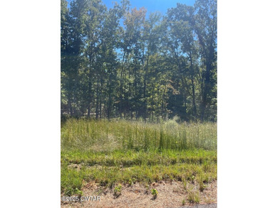 Carroll County 1000 Acre Lake Lot For Sale in Huntingdon Tennessee