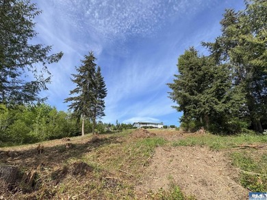 Exceptional 0.69-acre view lot in Solana Estates, a premier - photo 11