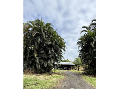 So much potential with this property! 4.55 acres of land with - photo 12