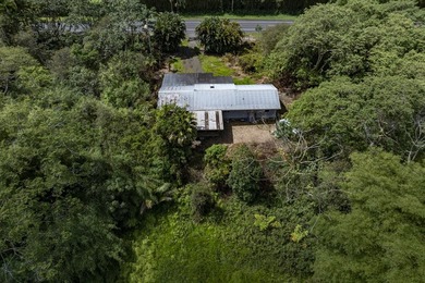 So much potential with this property! 4.55 acres of land with - photo 13