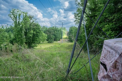 Whitetail Deer and Turnkey hunting, fishing, and timber - photo 13