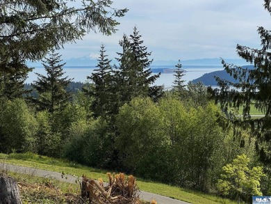 Exceptional 0.69-acre view lot in Solana Estates, a premier - photo 14
