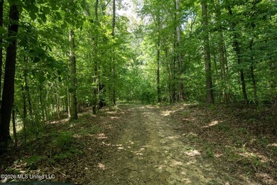 Whitetail Deer and Turnkey hunting, fishing, and timber - photo 15