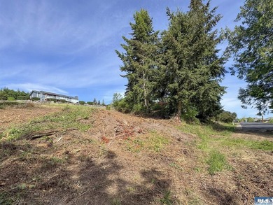 Exceptional 0.69-acre view lot in Solana Estates, a premier - photo 18