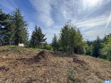 Exceptional 0.69-acre view lot in Solana Estates, a premier - photo 21