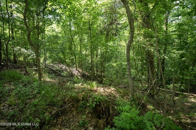 Whitetail Deer and Turnkey hunting, fishing, and timber - photo 22
