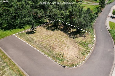 Corner .17-acre lot in the quiet Stone Ridge Estates - photo 2
