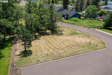 Corner .17-acre lot in the quiet Stone Ridge Estates - photo 3
