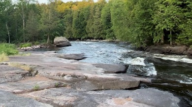 This amazing 1-of-a kind, 39+ acre property located 1hr-10min NE - photo 25