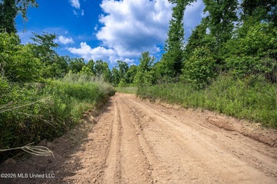 Whitetail Deer and Turnkey hunting, fishing, and timber - photo 25