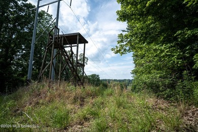 Whitetail Deer and Turnkey hunting, fishing, and timber - photo 26