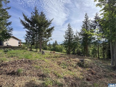 Exceptional 0.69-acre view lot in Solana Estates, a premier - photo 26